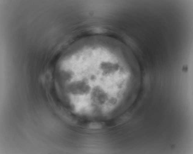 X0000113960373200910162009