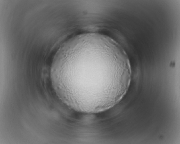 X0000113960374200910162009