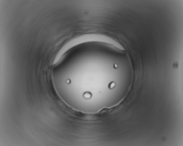 X0000113960376200910162009