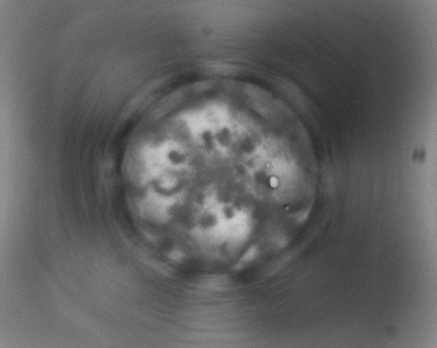 X0000113960377200910162009