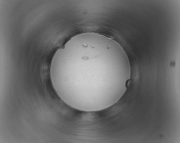 X0000113960378200910162009