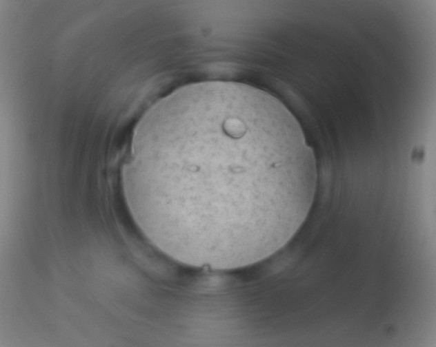 X0000113960379200910162009