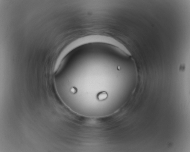 X0000113960380200910162009