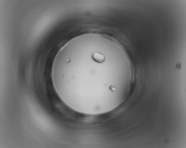 X0000113960382200910162009