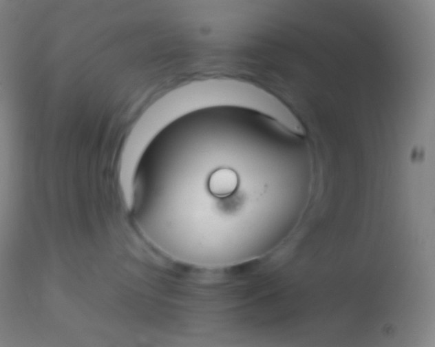 X0000113960384200910162009