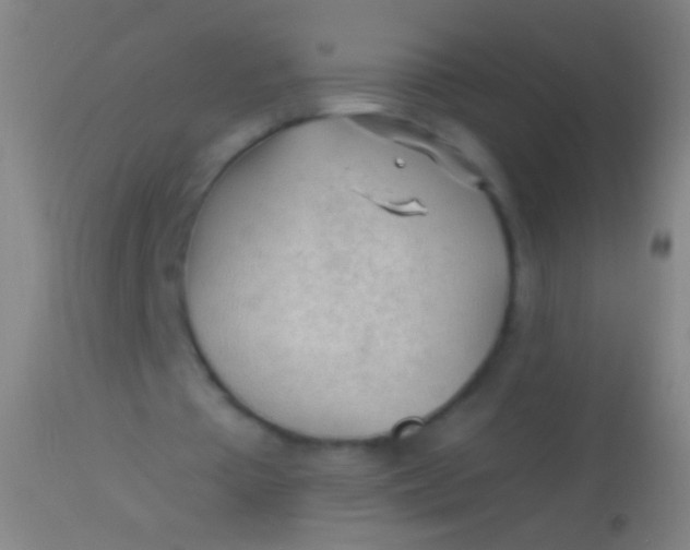 X0000113960385200910162008