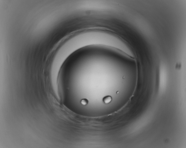 X0000113960387200910162008