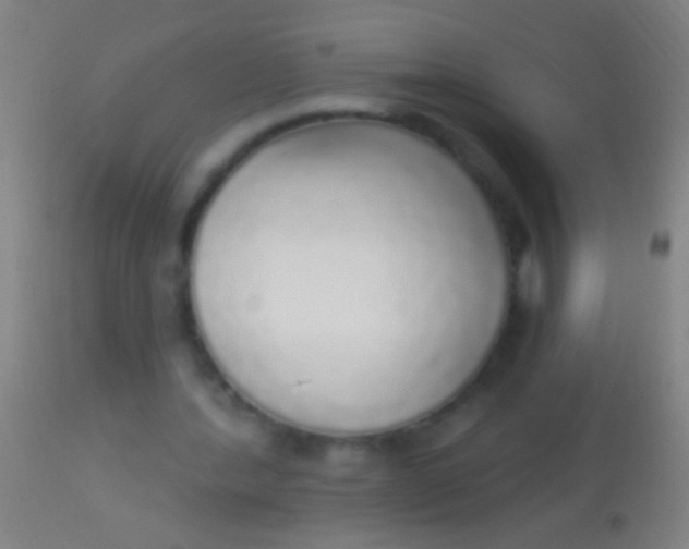 X0000113960388200910162008