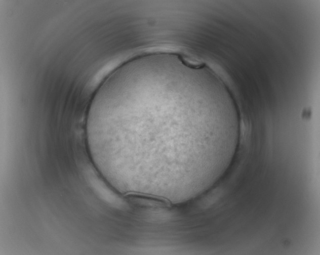 X0000113960389200910162008