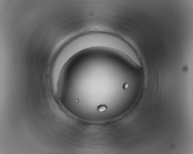 X0000113960391200910162008