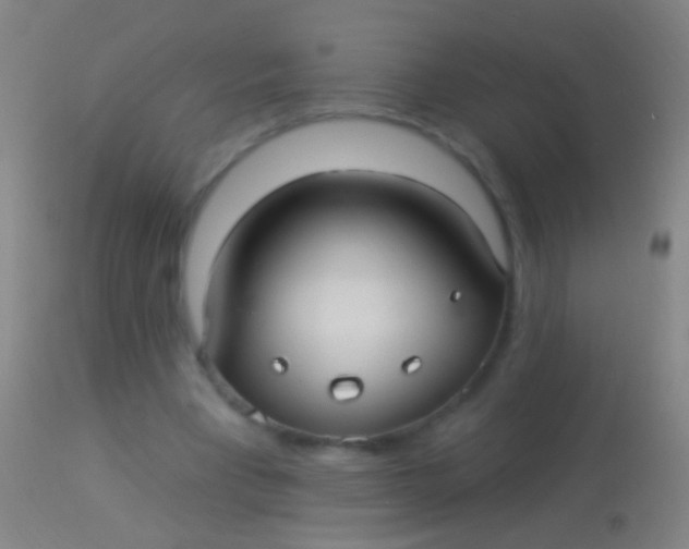 X0000113960393200910162008