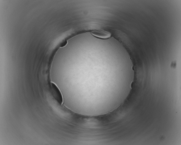 X0000113960395200910162008