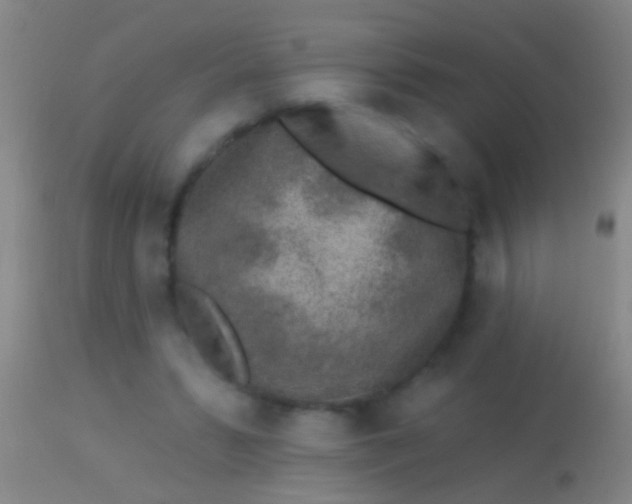 X0000113960399200910162008