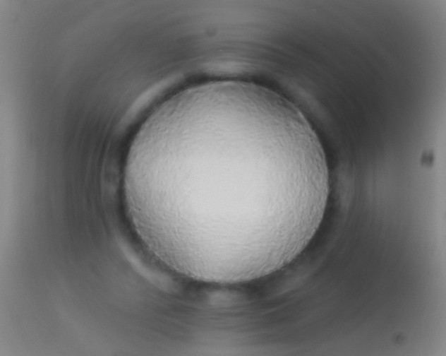 X0000113960400200910162008