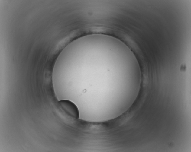 X0000113960401200910162008