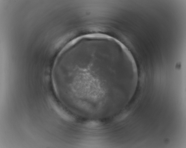 X0000113960402200910162008