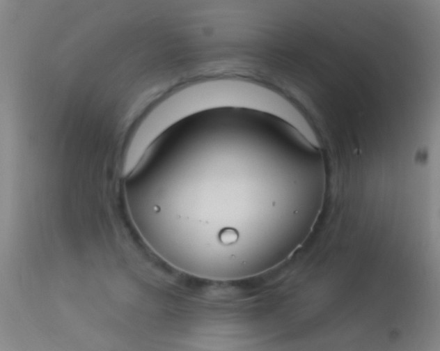 X0000113960403200910162008