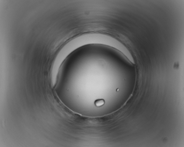 X0000113960405200910162008