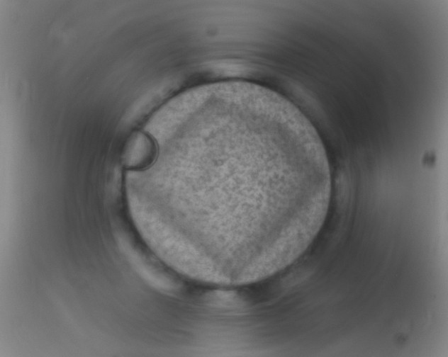 X0000113960406200910162008