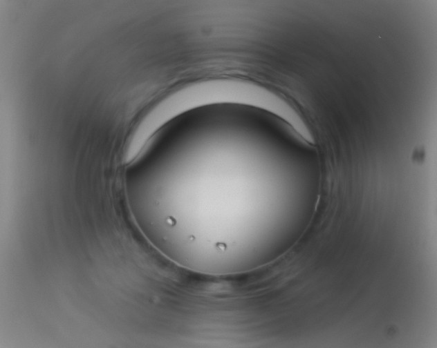 X0000113960411200910162008