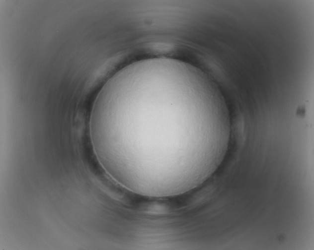 X0000113960412200910162008