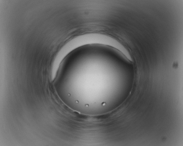 X0000113960413200910162008