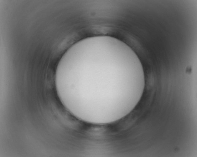 X0000113960414200910162008