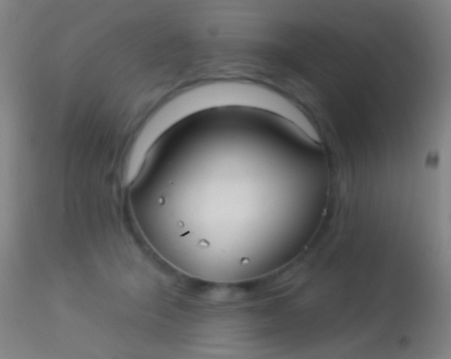 X0000113960415200910162008