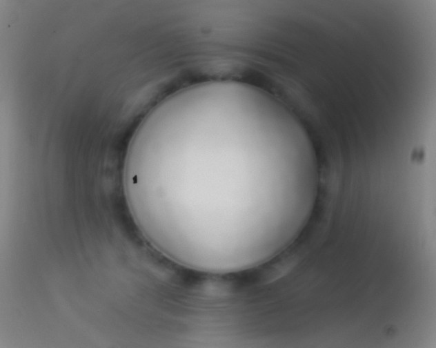 X0000113960416200910162008