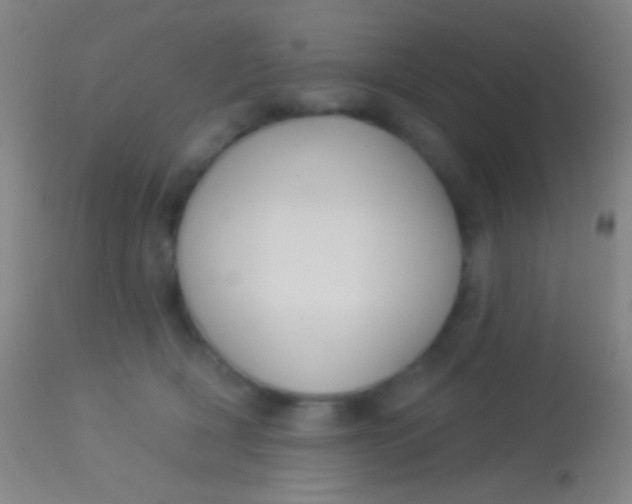 X0000113960418200910162008