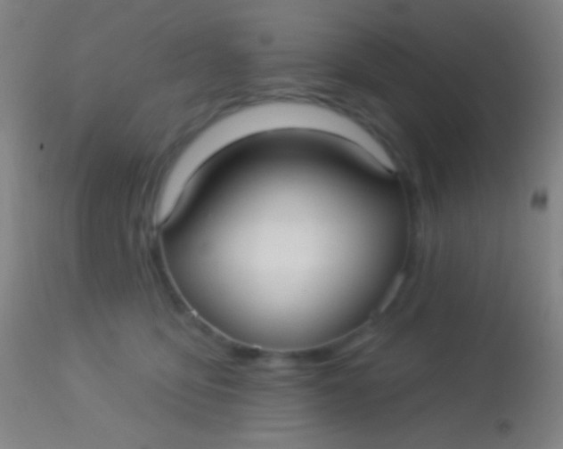 X0000113960419200910162008