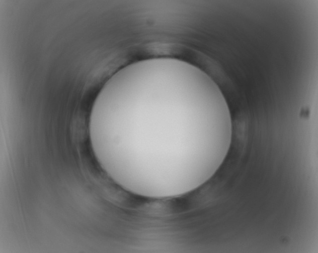 X0000113960422200910162008