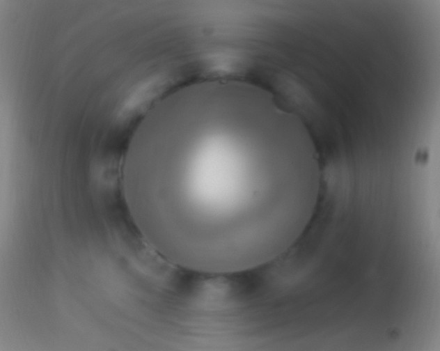 X0000113960423200910162008