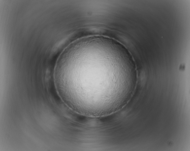 X0000113960424200910162008