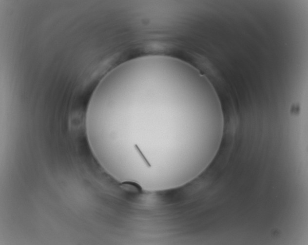 X0000113960425200910162008