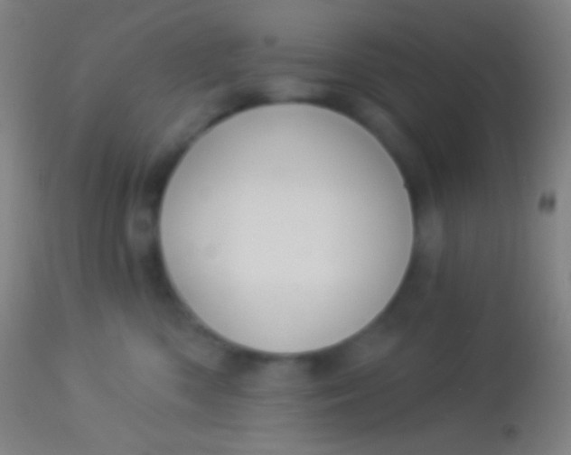 X0000113960426200910162008