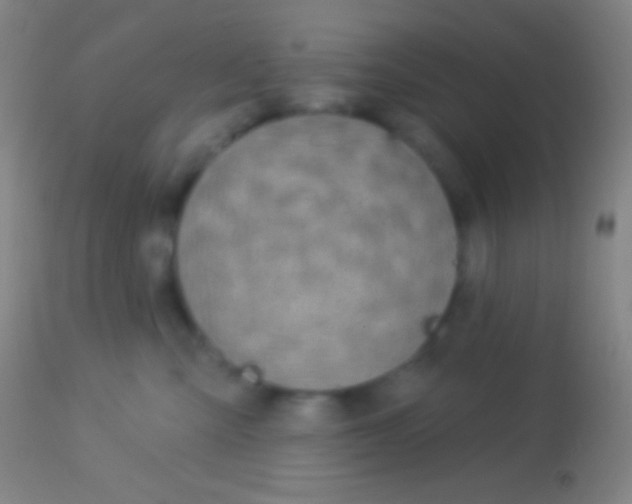 X0000113960427200910162008