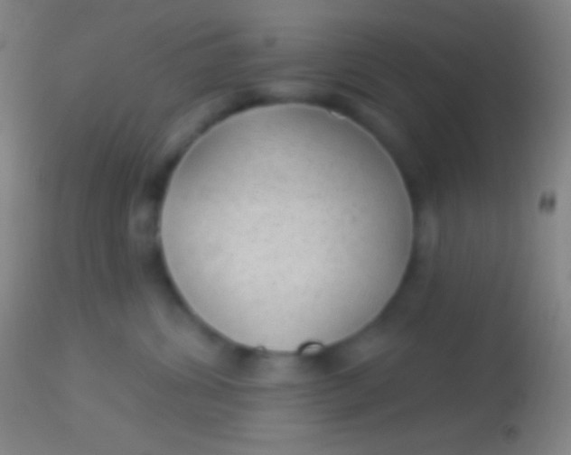 X0000113960428200910162008