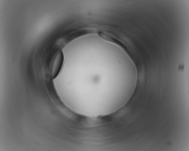 X0000113960429200910162008