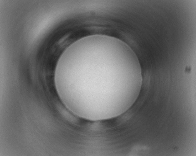 X0000113960430200910162008