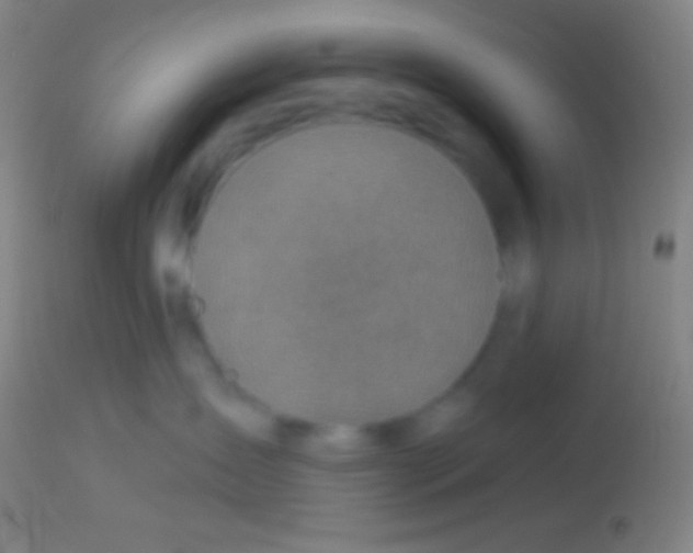 X0000113960431200910162008