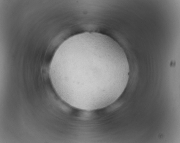 X0000113960432200910162008