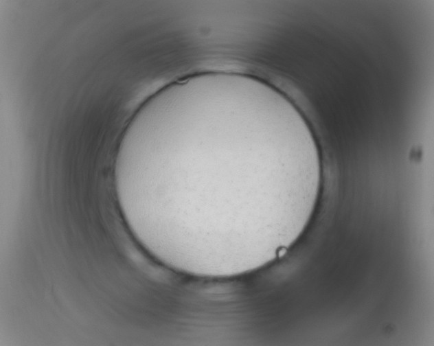 X0000113960433200910162007