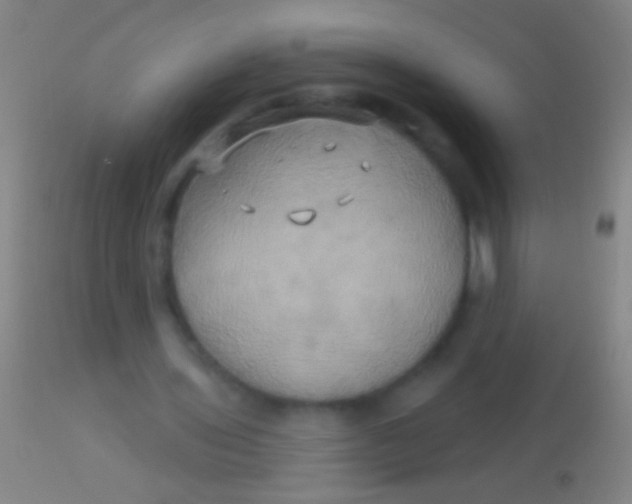 X0000113960435200910162007