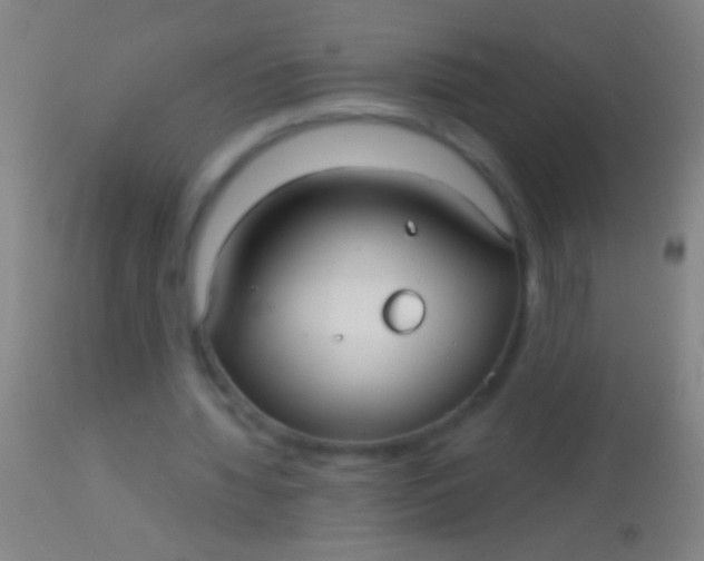 X0000113960436200910162007