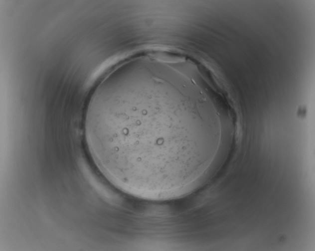 X0000113960438200910162007