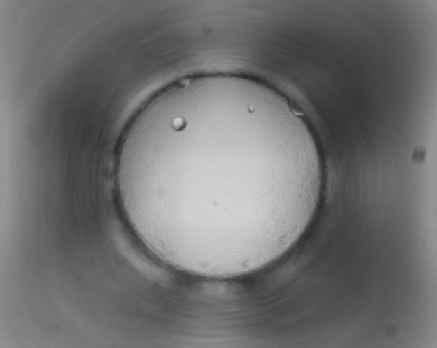 X0000113960439200910162007