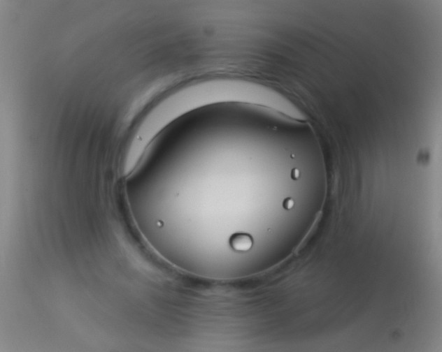 X0000113960444200910162007