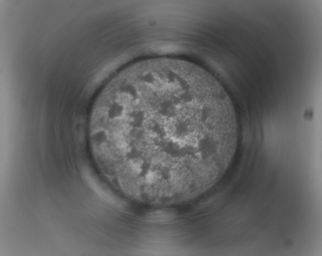 X0000113960447200910162007