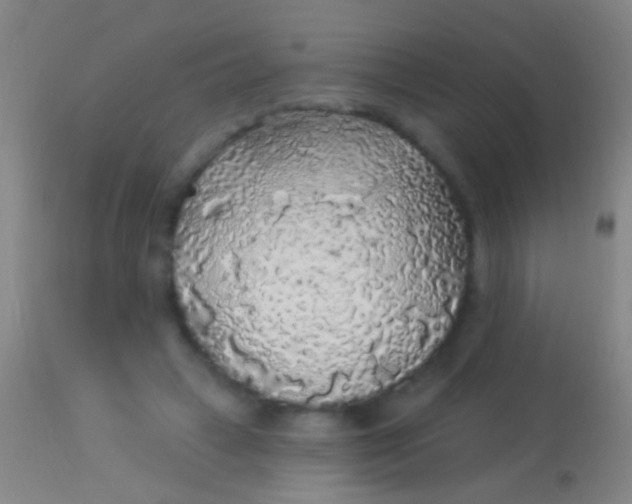 X0000113960449200910162007